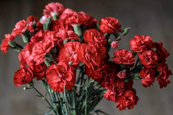 valentines_day_sunroom_decor_ideas